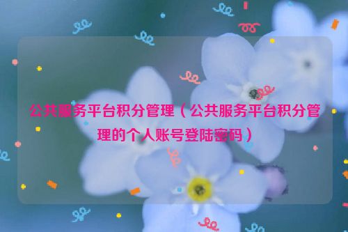 公共服务平台积分管理（公共服务平台积分管理的个人账号登陆密码）