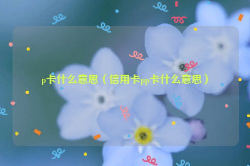 p卡什么意思（信用卡pp卡什么意思）