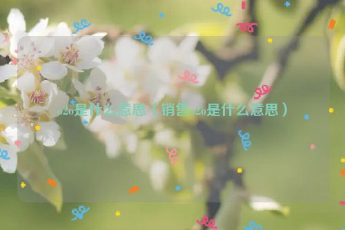 o2o是什么意思（销售o2o是什么意思）