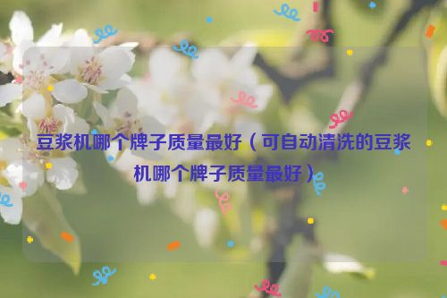 豆浆机哪个牌子质量最好（可自动清洗的豆浆机哪个牌子质量最好）