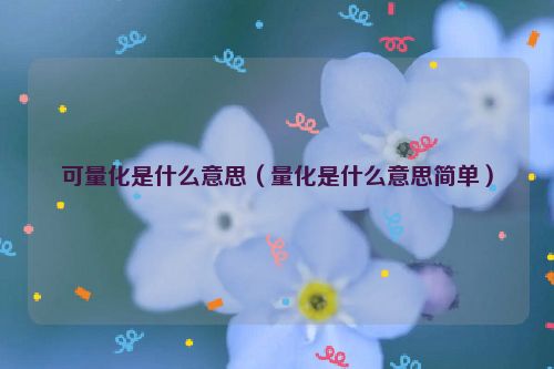 可量化是什么意思（量化是什么意思简单）