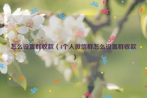 怎么设置群收款（4个人微信群怎么设置群收款）
