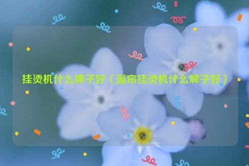 挂烫机什么牌子好（窗帘挂烫机什么牌子好）