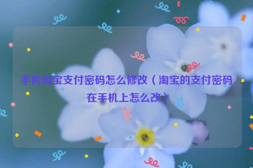 手机淘宝支付密码怎么修改（淘宝的支付密码在手机上怎么改）