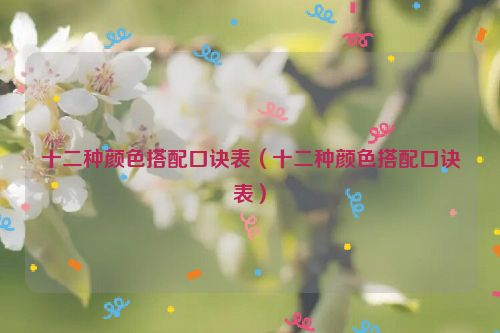 十二种颜色搭配口诀表（十二种颜色搭配口诀表）