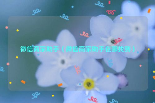 微信商家助手（微信商家助手在哪找到）