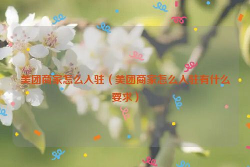 美团商家怎么入驻（美团商家怎么入驻有什么要求）