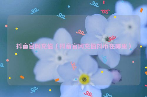 抖音官网充值（抖音官网充值抖币在哪里）
