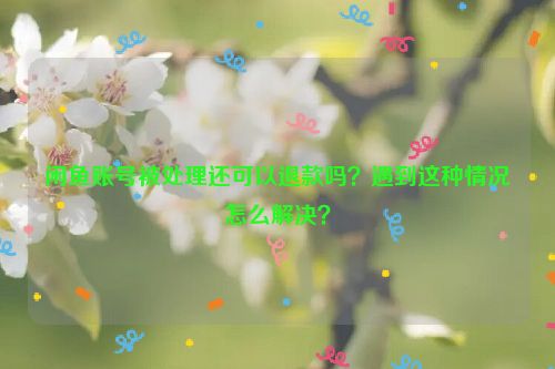 闲鱼账号被处理还可以退款吗？遇到这种情况怎么解决？