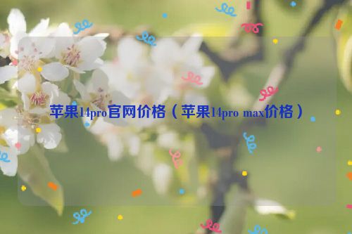 苹果14pro官网价格（苹果14pro max价格）