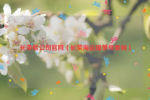 长荣船公司官网（长荣海运提单号查询）