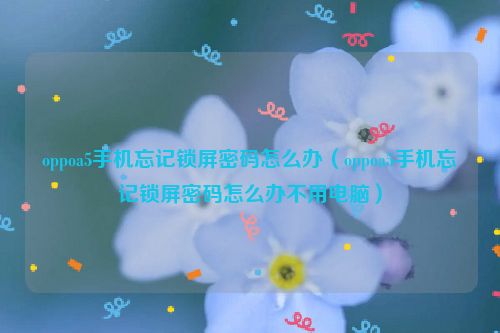 oppoa5手机忘记锁屏密码怎么办（oppoa5手机忘记锁屏密码怎么办不用电脑）