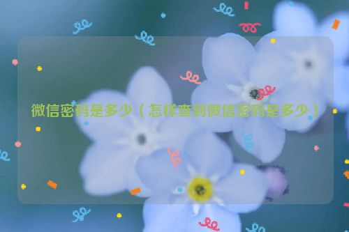 微信密码是多少（怎样查到微信密码是多少）