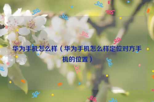 华为手机怎么样（华为手机怎么样定位对方手机的位置）