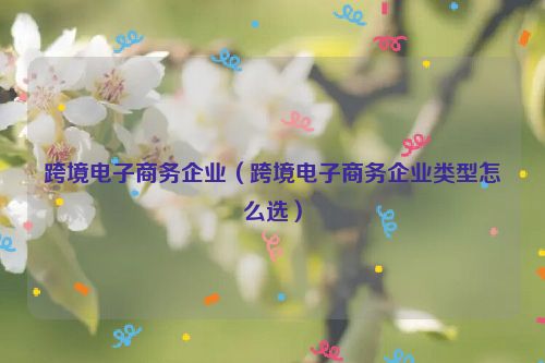 跨境电子商务企业（跨境电子商务企业类型怎么选）