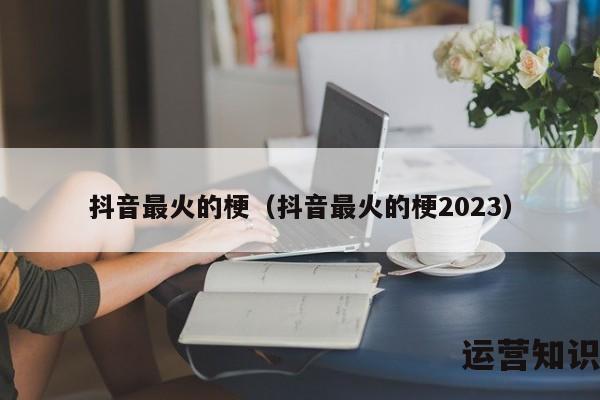 抖音最火的梗（抖音最火的梗2023）