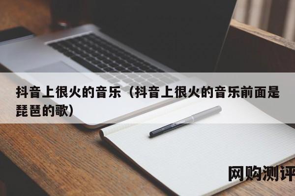 抖音上很火的音乐（抖音上很火的音乐前面是琵琶的歌）